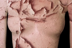 21_thebodyasamap