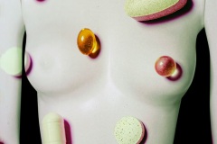 24_thebodyasamap